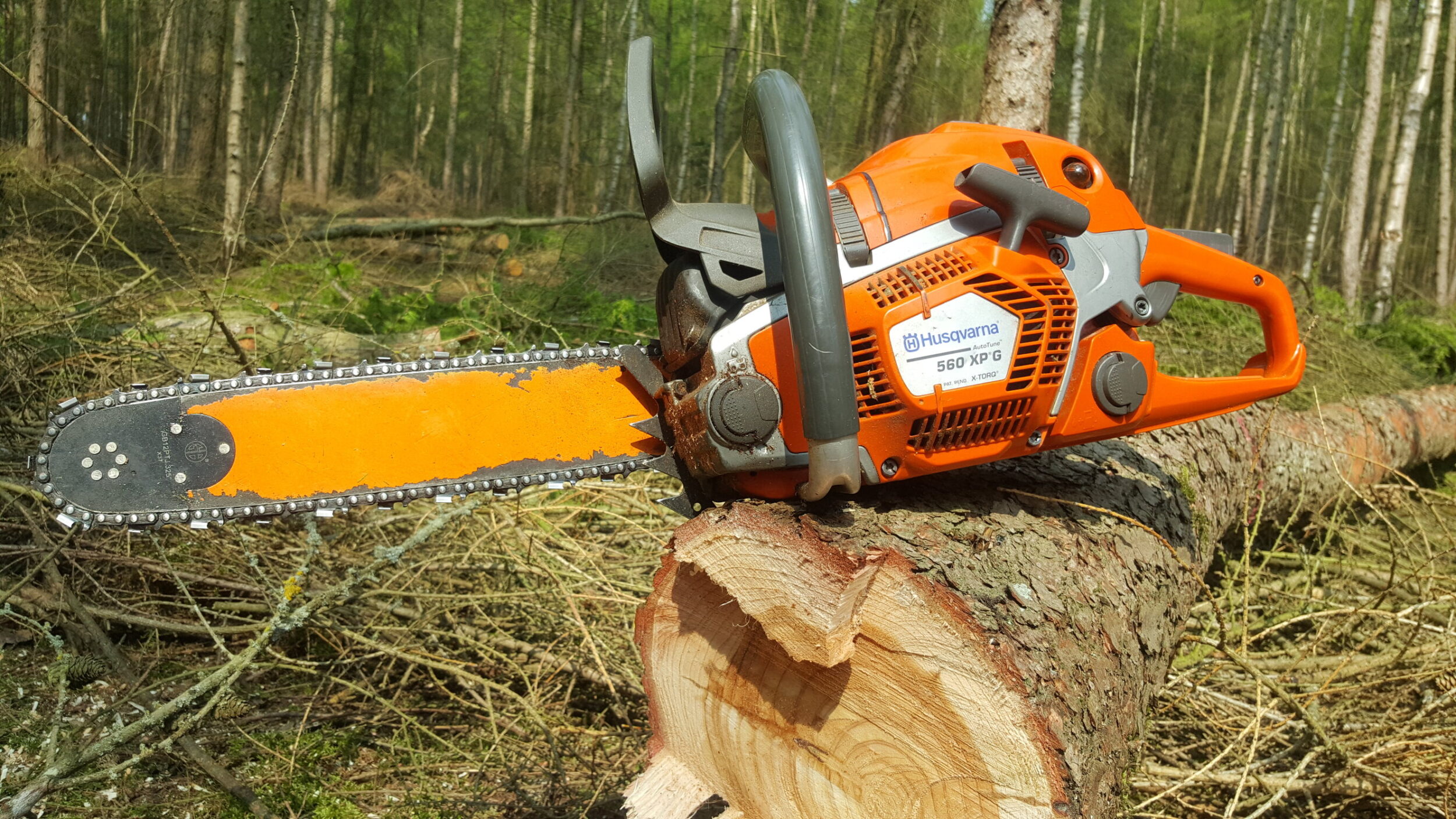 Felling Small Trees Shuttleworth College