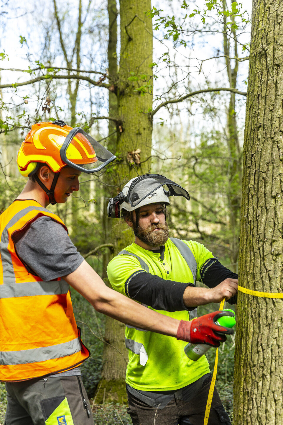 Arboriculture and Forestry Shuttleworth College student and tutor