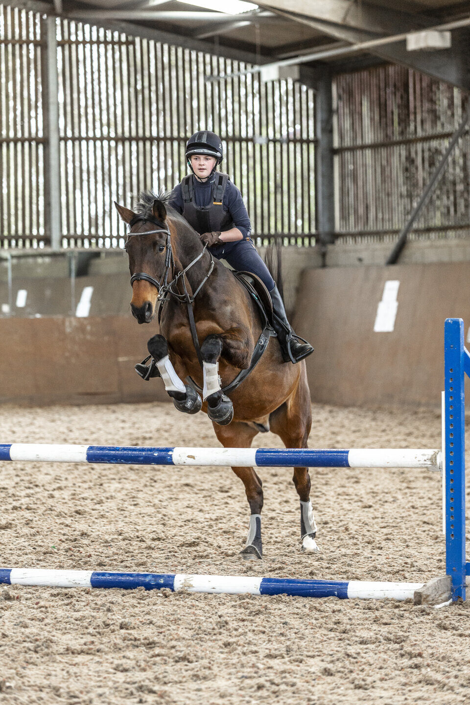 Equine horse training session Shuttleworth College