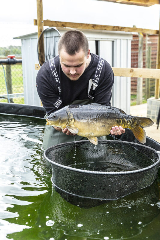 Fisheries student holding fish Shuttleworth College