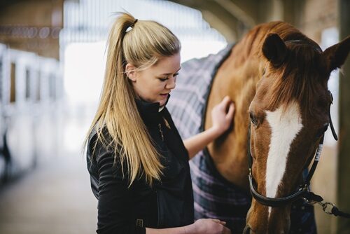 Shuttleworth College Equine Management