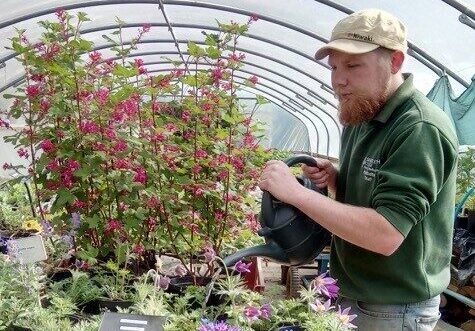 Shuttleworth College Horticulture Technician Ross